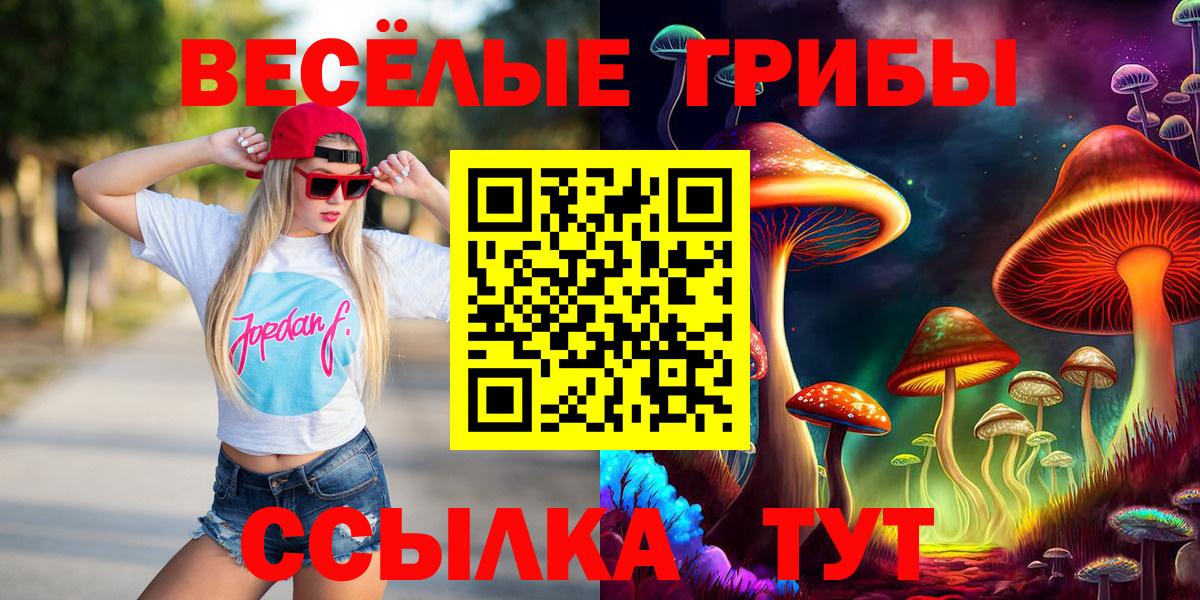 Псилоцибиновые грибы прущие грибы Кизилюрт