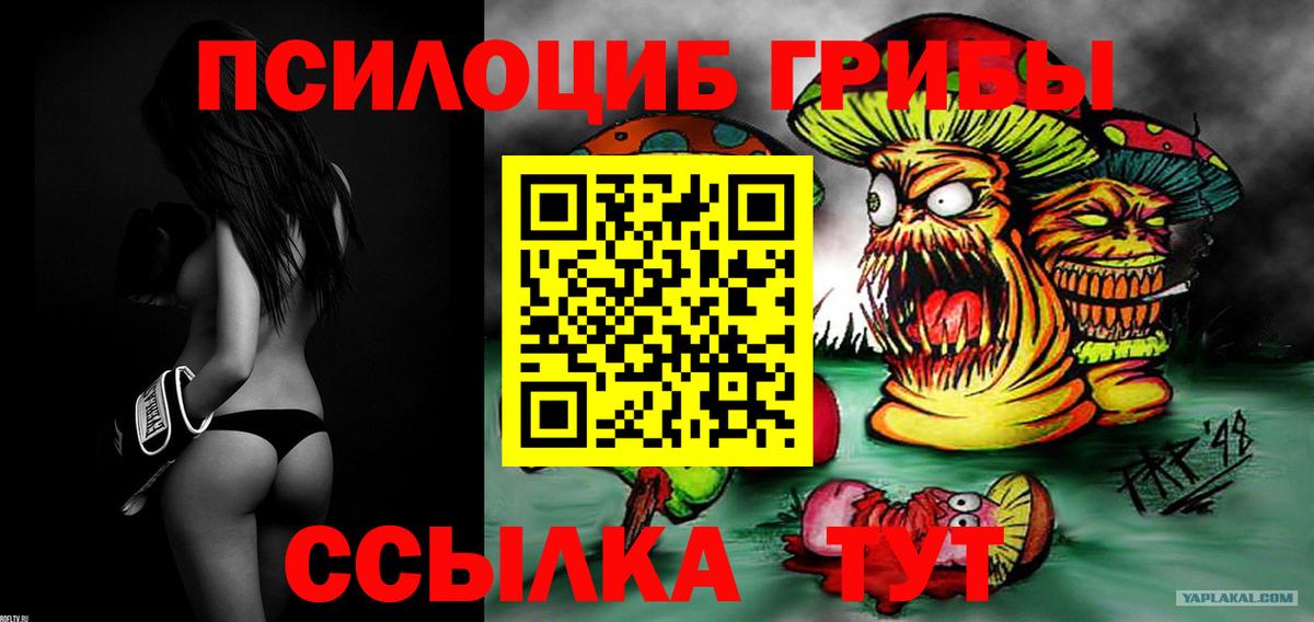 Кизилюрт  Псилоцибиновые грибы MAGIC MUSHROOMS  Вход с VPN  Псилоцибиновые грибы Psilocybine cubensis 
